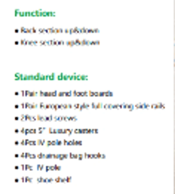 Vin Win 3 Function Electric ICU Bed